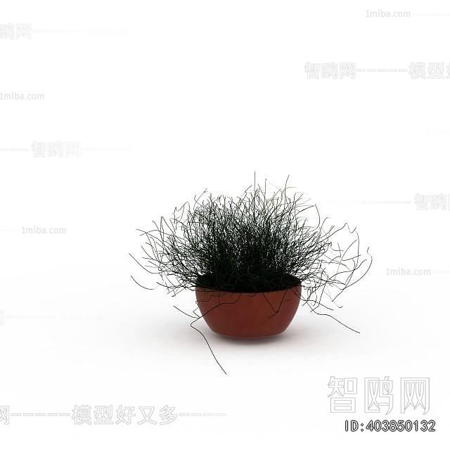 Modern Potted Green Plant
