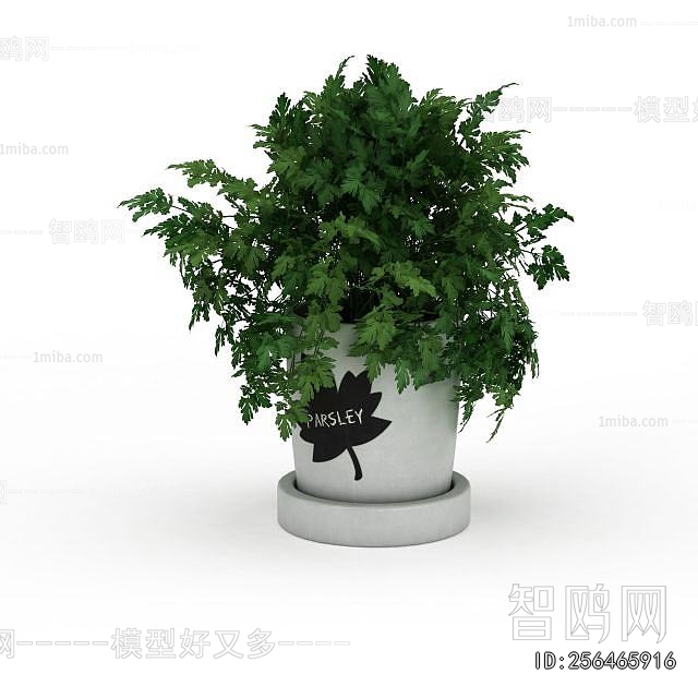 Modern Potted Green Plant