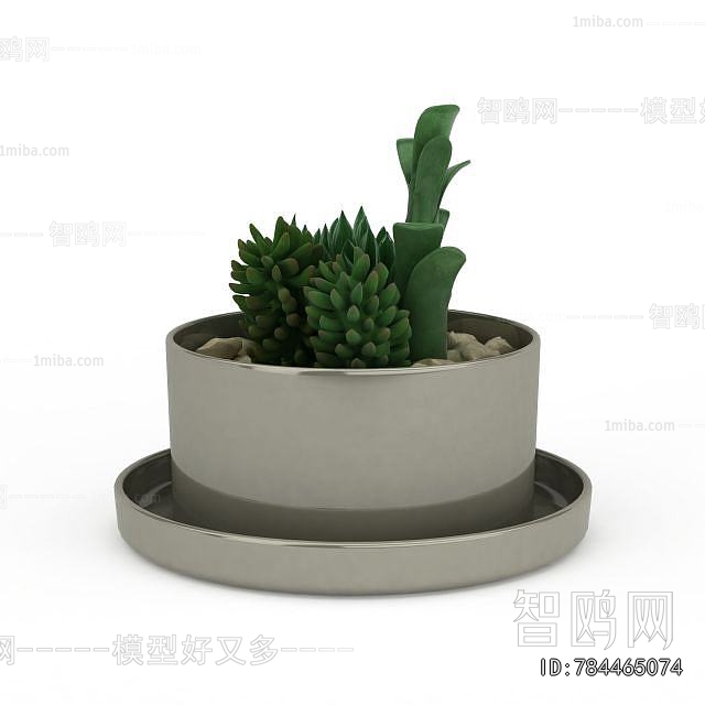 Modern Potted Green Plant