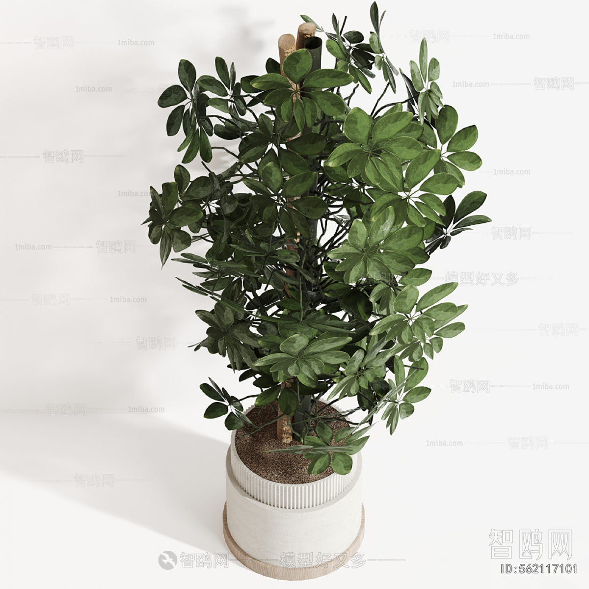 Modern Ground Green Plant Potted Plants