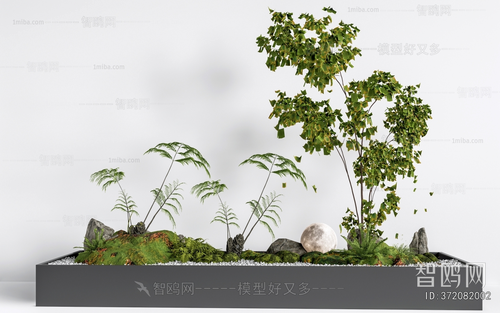 Modern Plant Landscaping