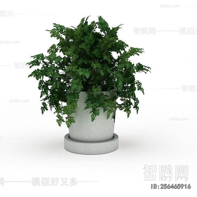Modern Potted Green Plant