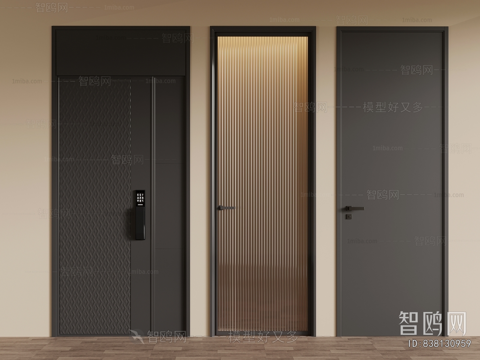 Modern Entrance Door