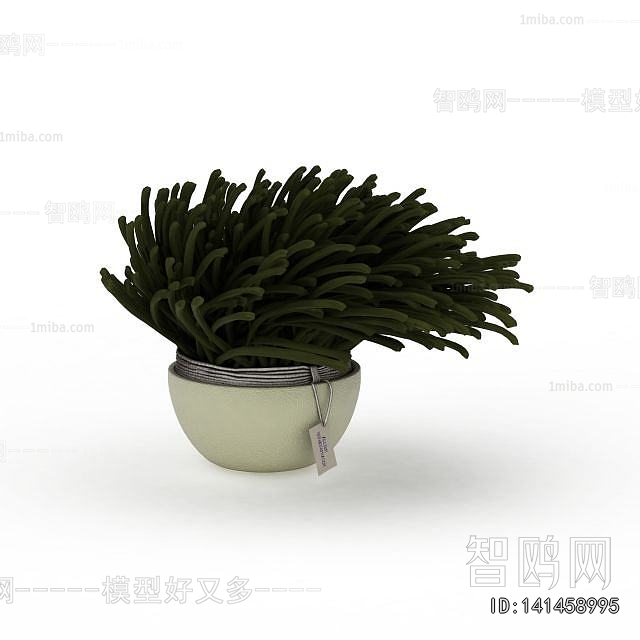 Modern Potted Green Plant