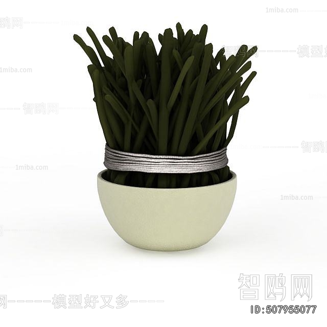 Modern Potted Green Plant