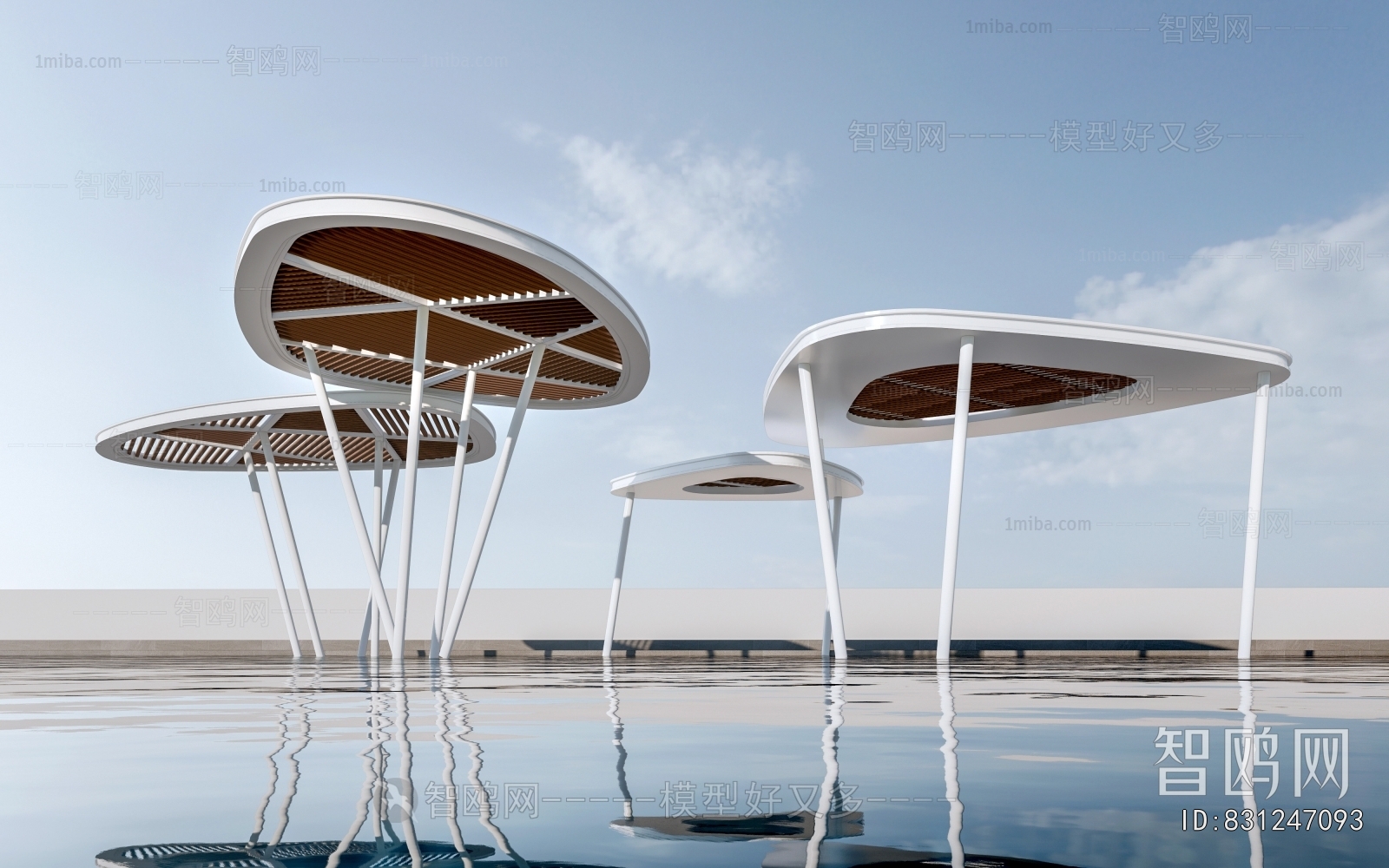 Modern Gallery Frame