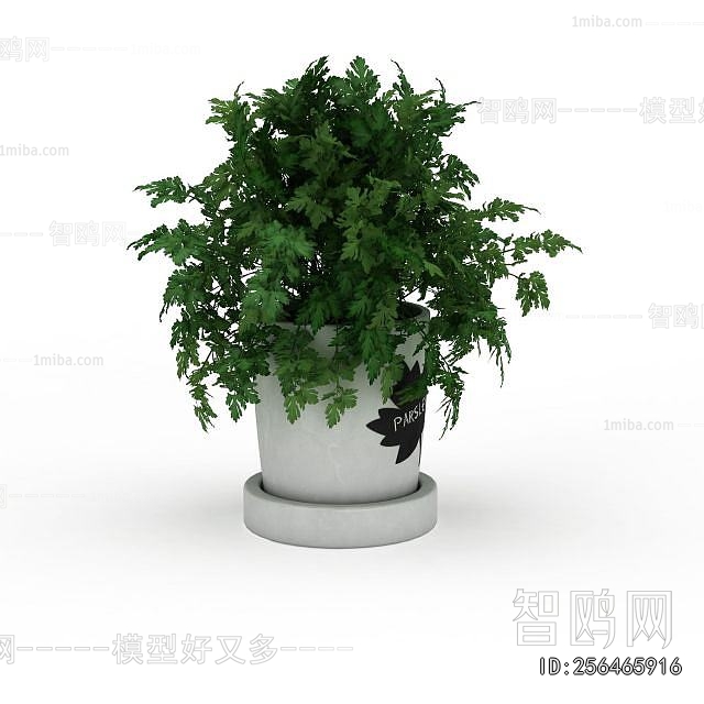 Modern Potted Green Plant