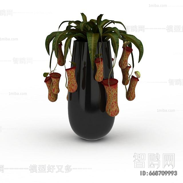 Modern Potted Green Plant