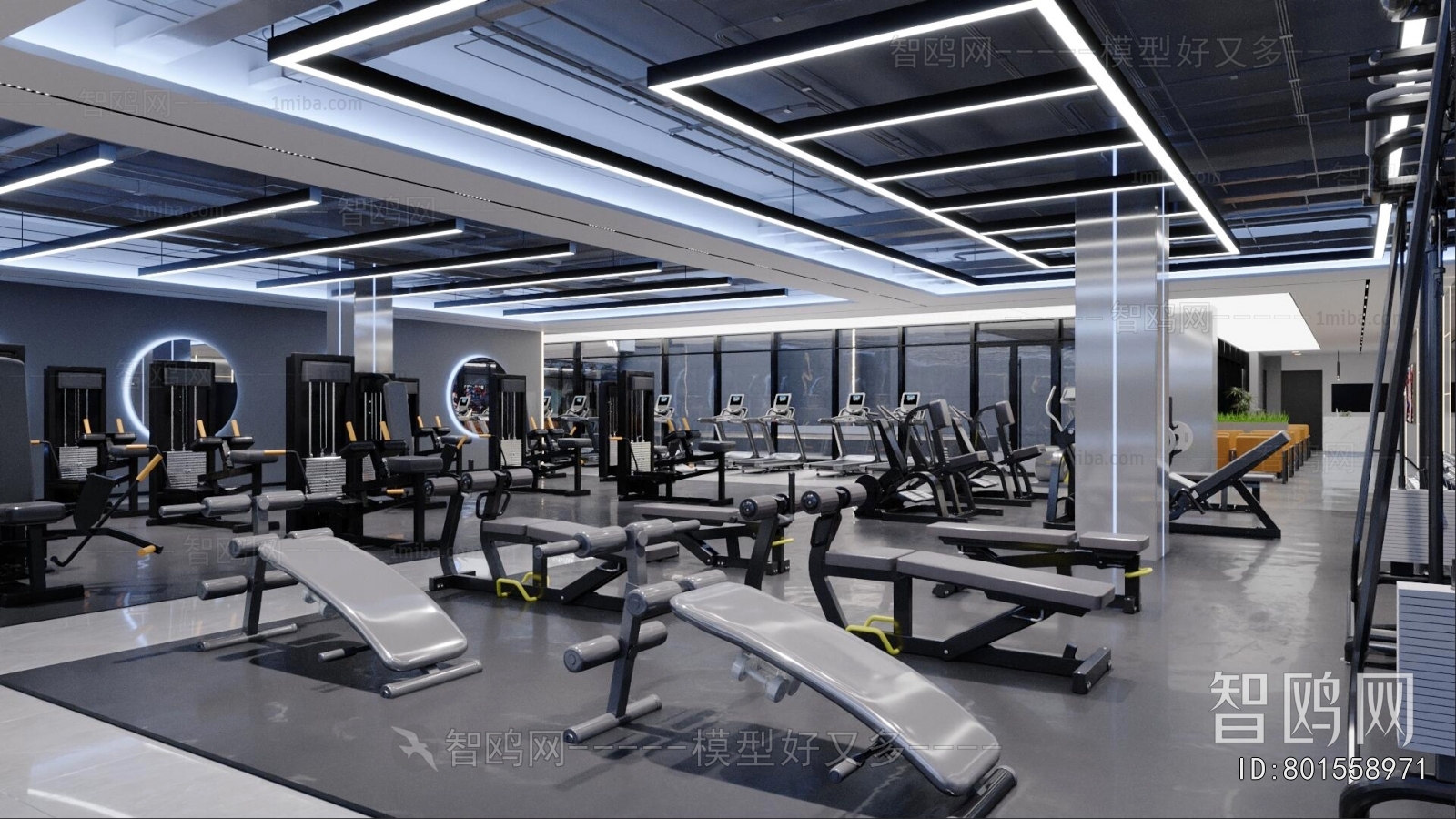 Modern Gym