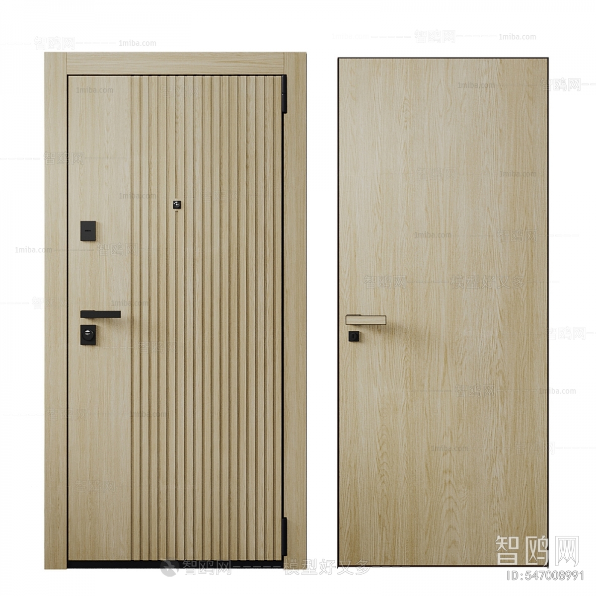 Modern Entrance Door