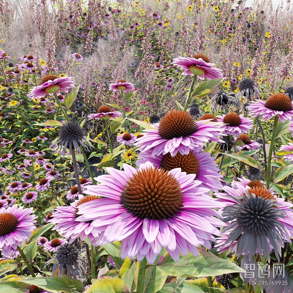 Modern Flowers And Grass
