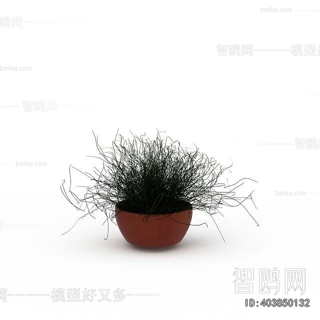 Modern Potted Green Plant