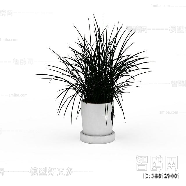 Modern Potted Green Plant
