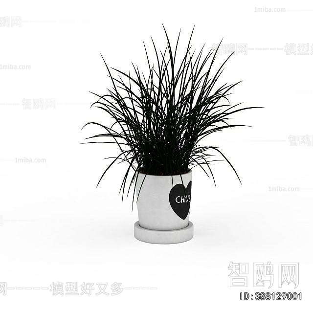 Modern Potted Green Plant