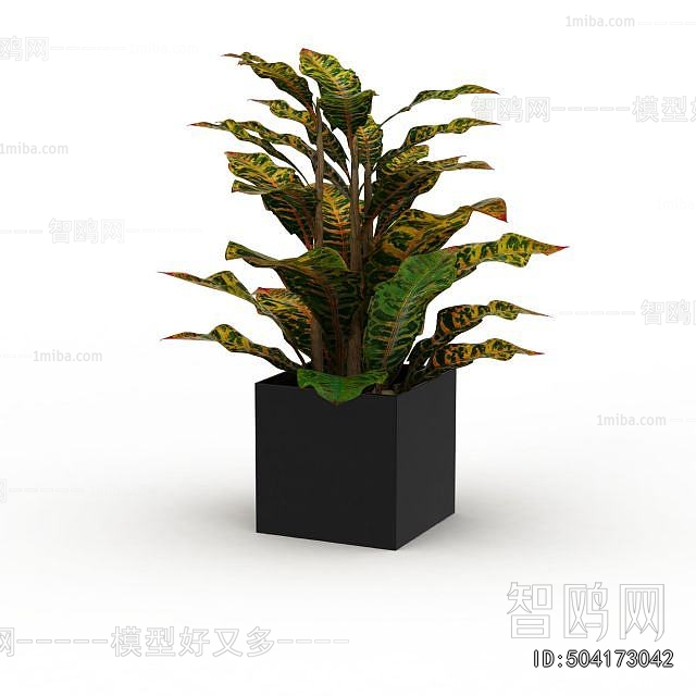Modern Potted Green Plant