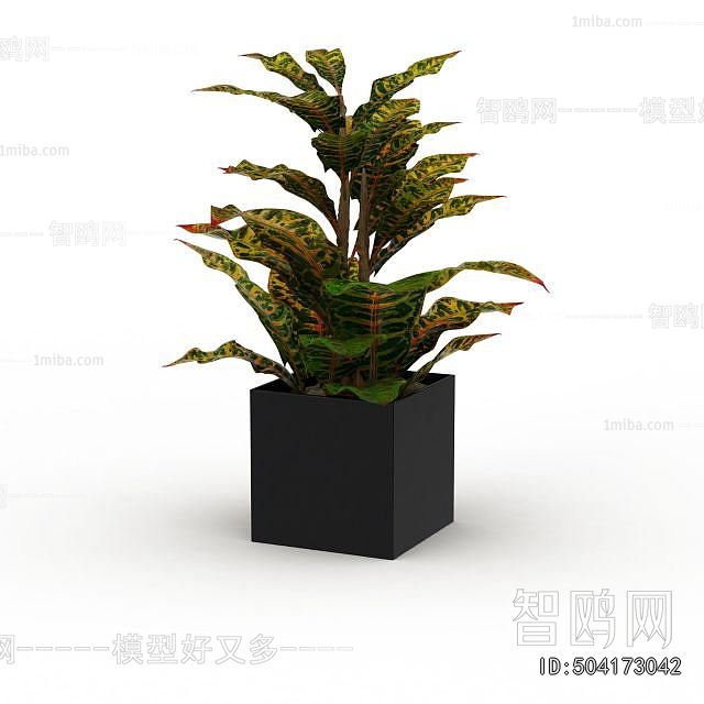 Modern Potted Green Plant