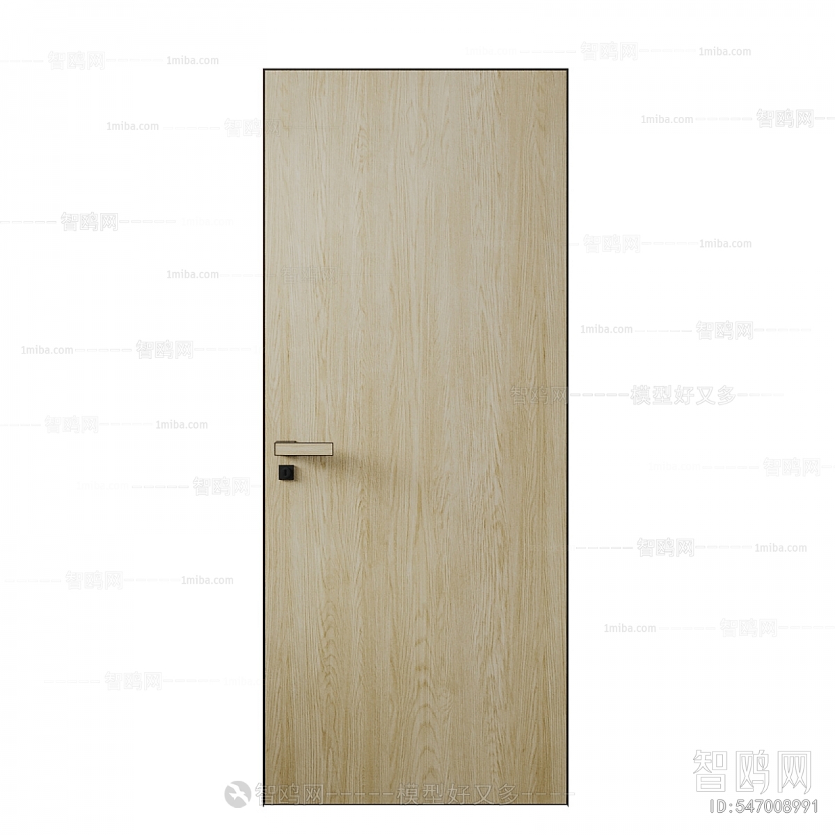 Modern Entrance Door
