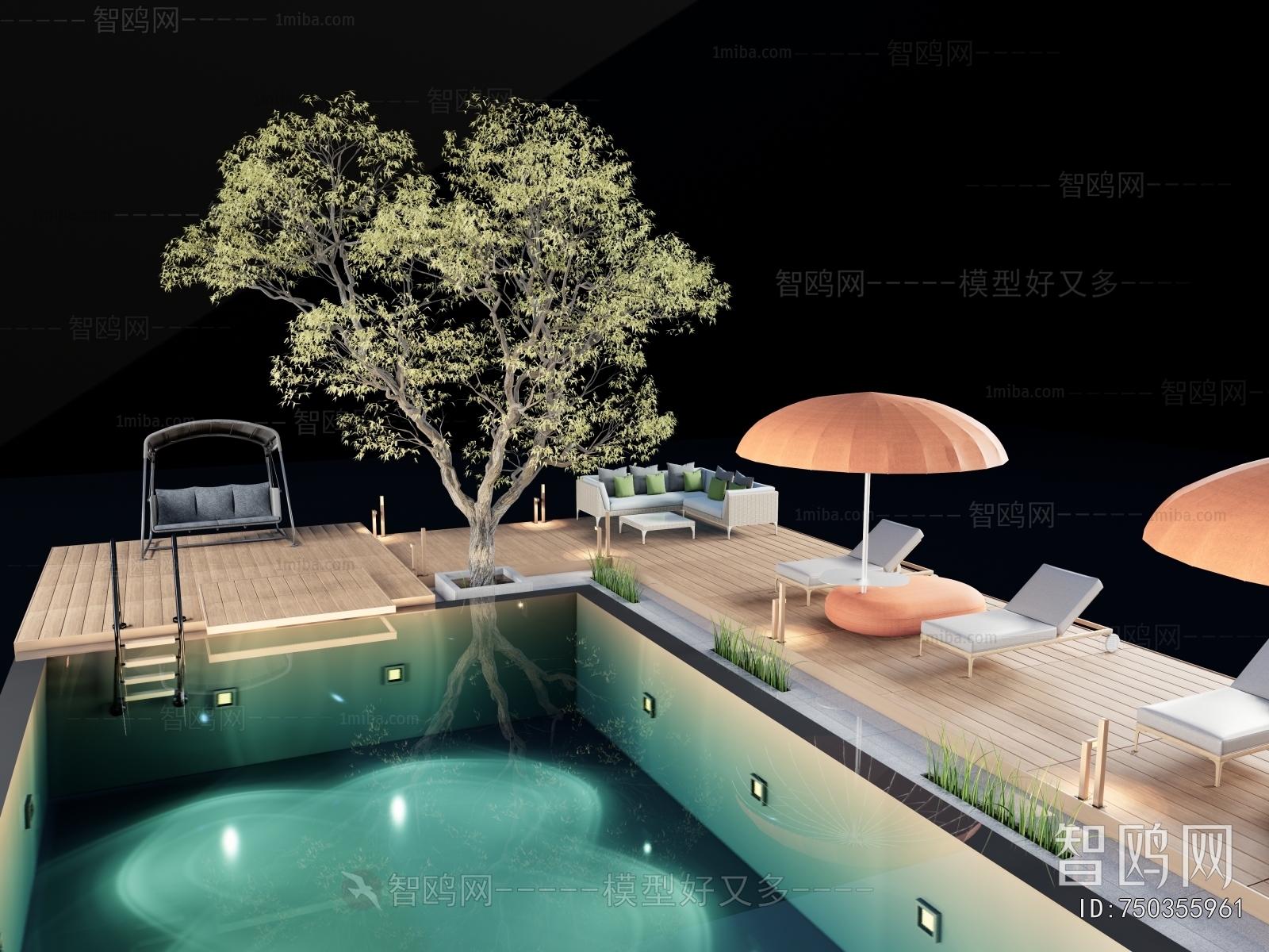 Modern Swimming Pool