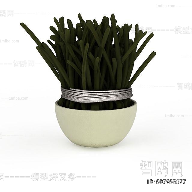 Modern Potted Green Plant