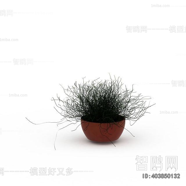 Modern Potted Green Plant