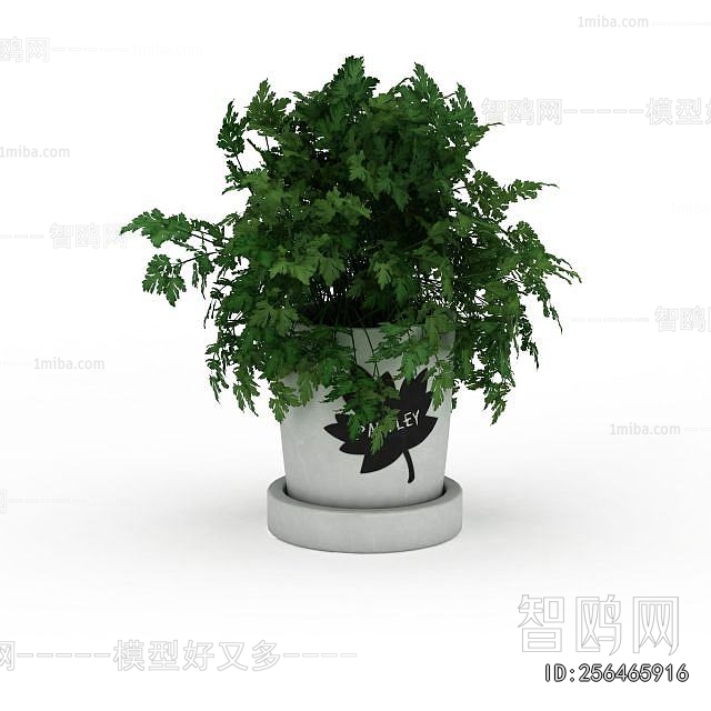 Modern Potted Green Plant