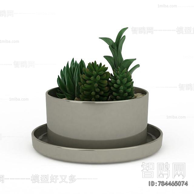 Modern Potted Green Plant