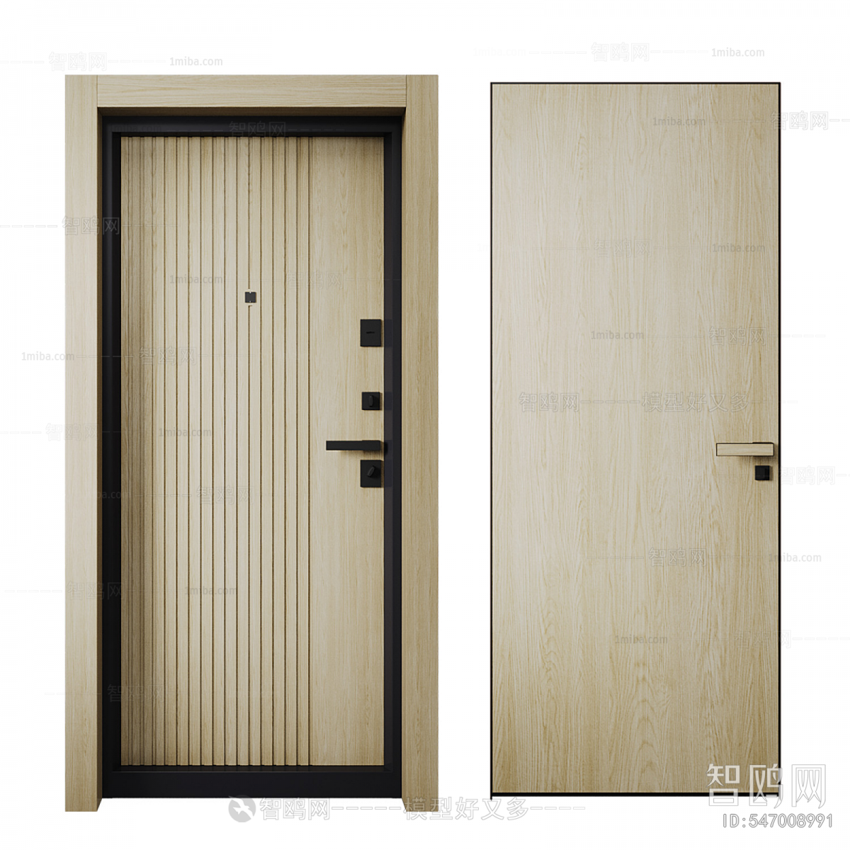 Modern Entrance Door