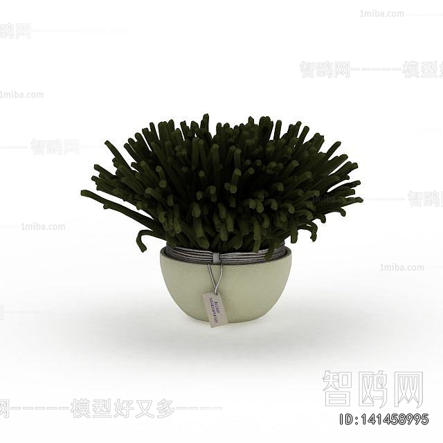 Modern Potted Green Plant