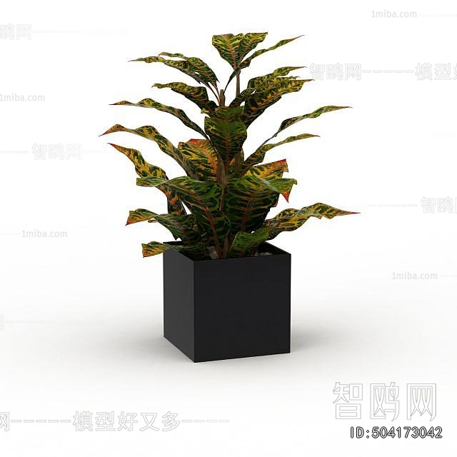 Modern Potted Green Plant