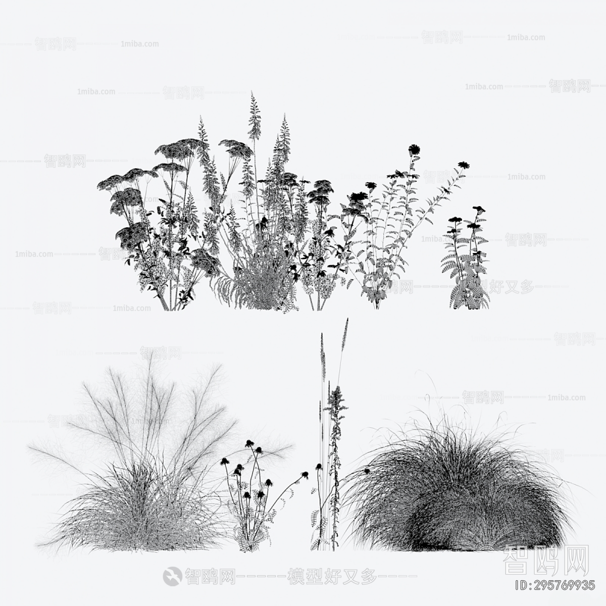 Modern Flowers And Grass