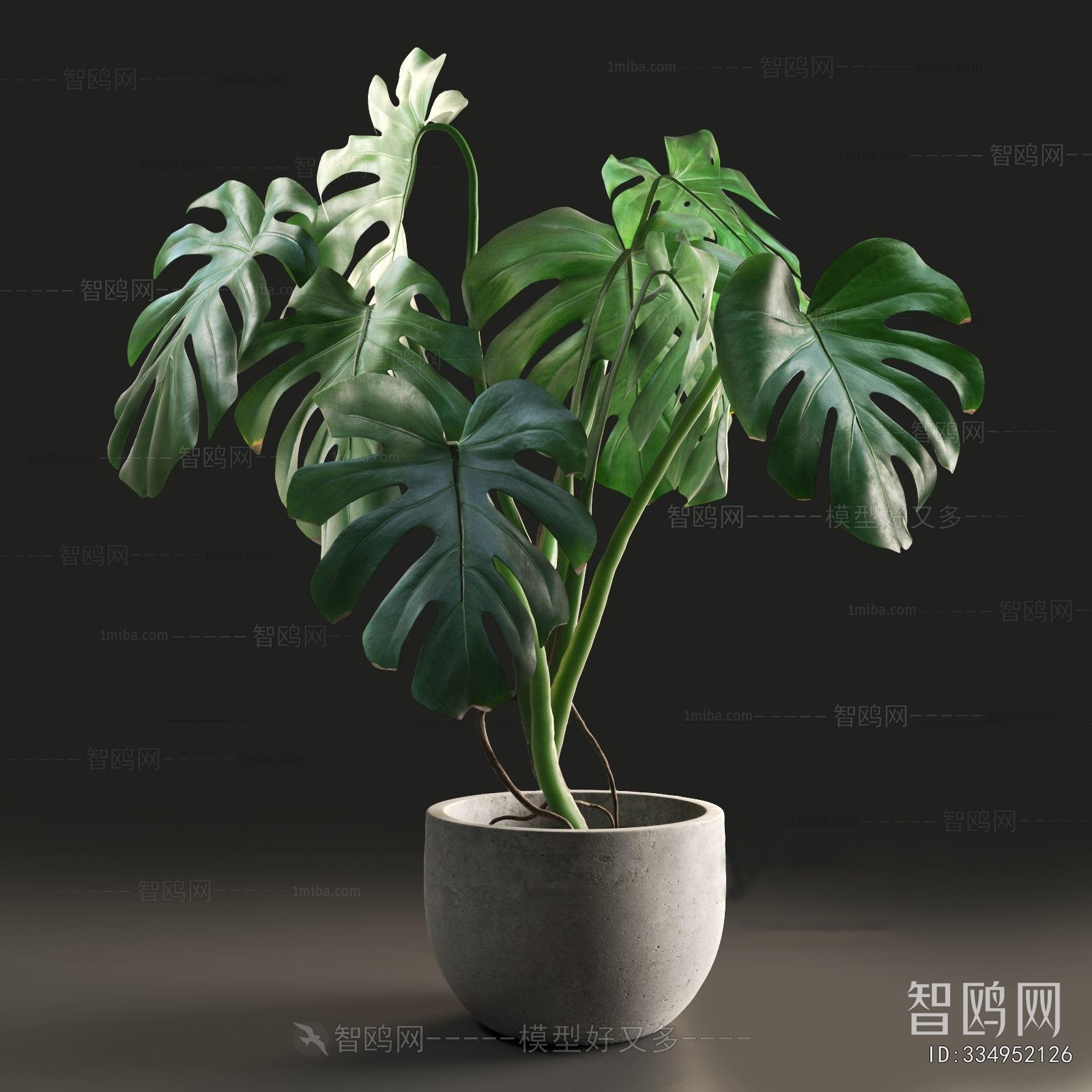 Modern Ground Green Plant Potted Plants