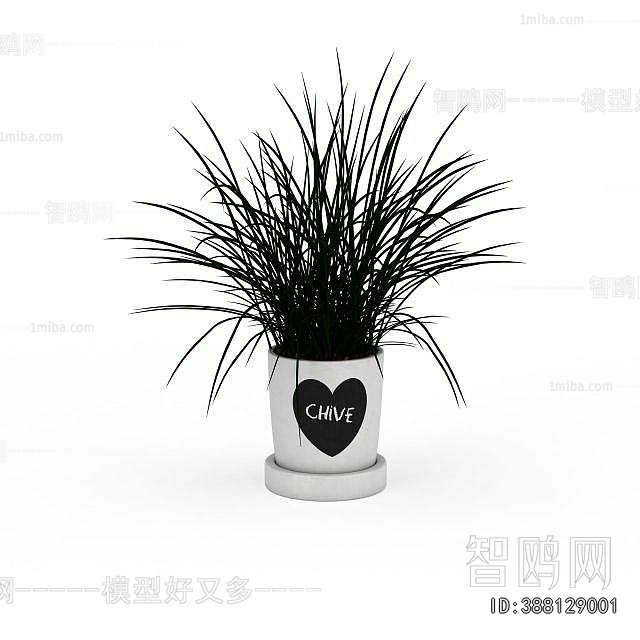 Modern Potted Green Plant