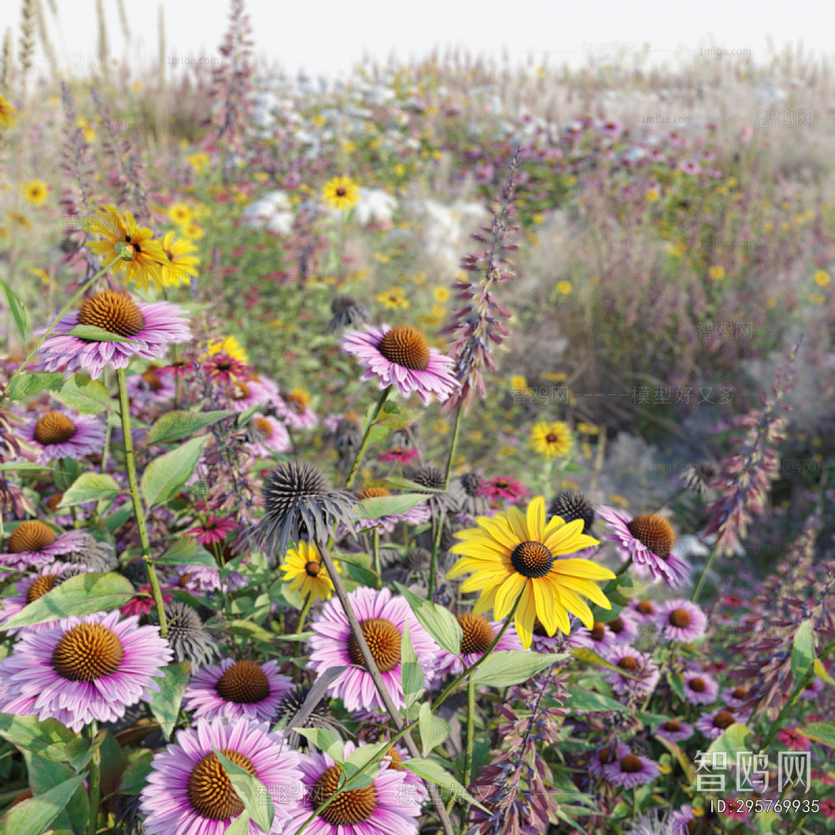Modern Flowers And Grass