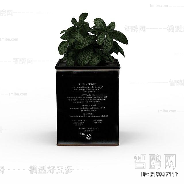 Modern Potted Green Plant