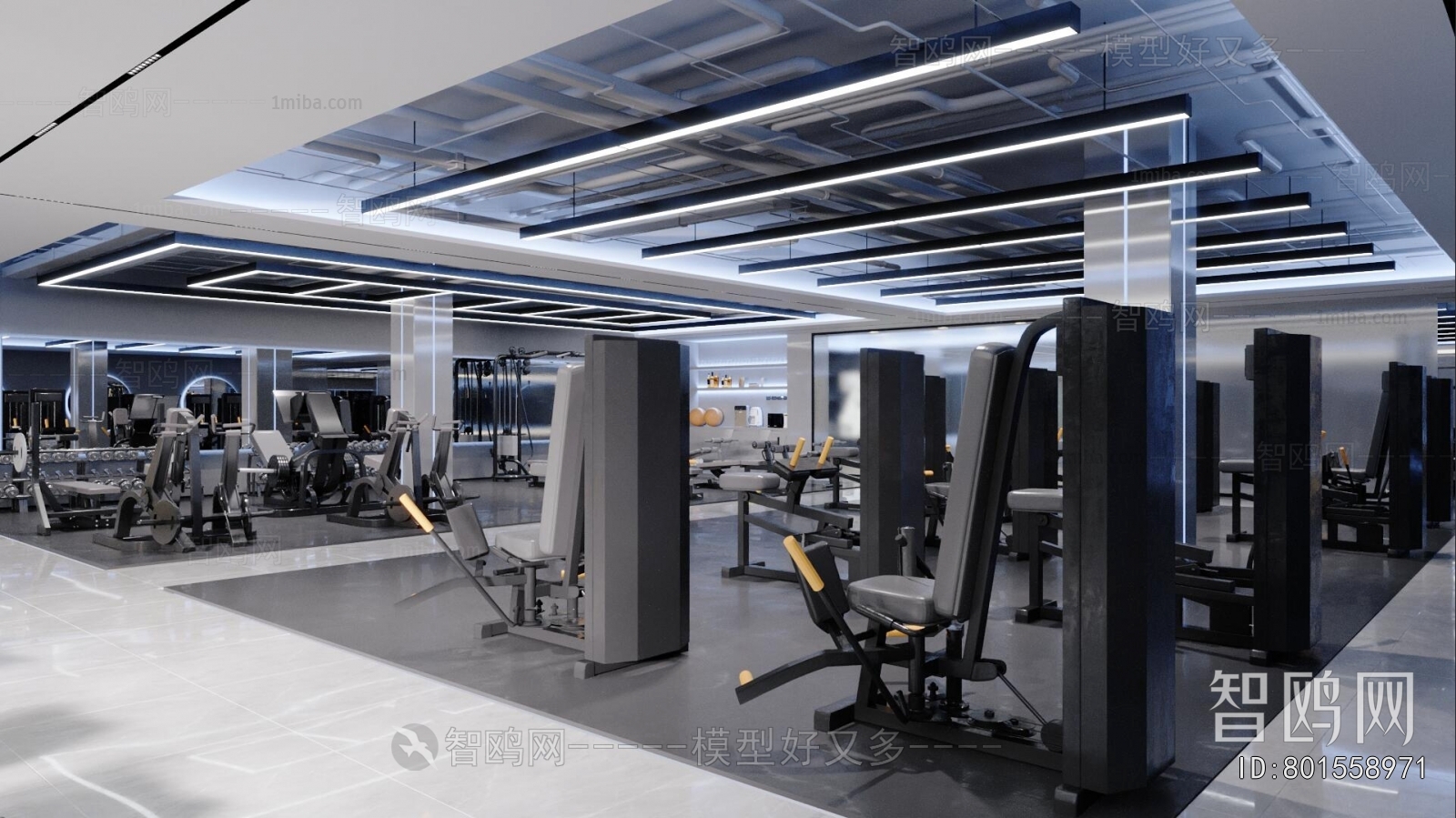 Modern Gym