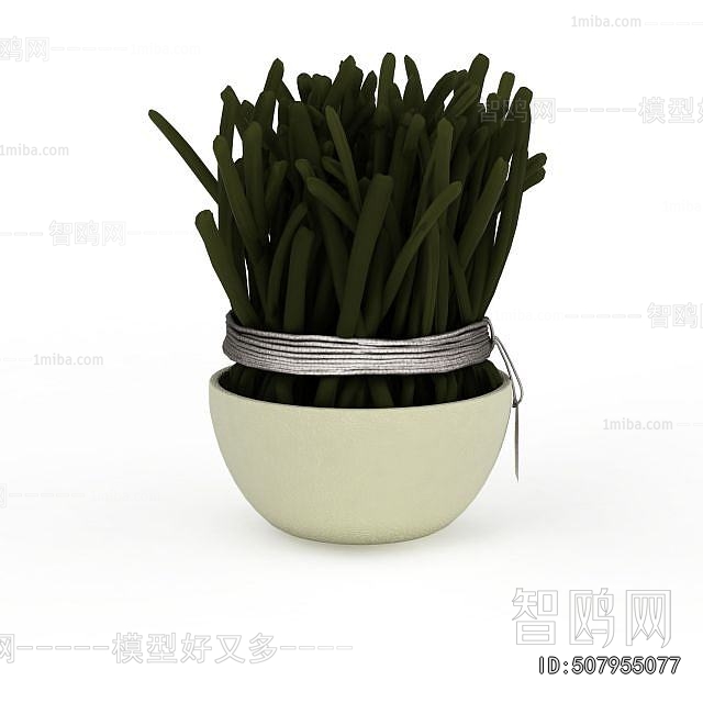 Modern Potted Green Plant