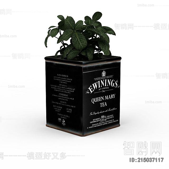 Modern Potted Green Plant