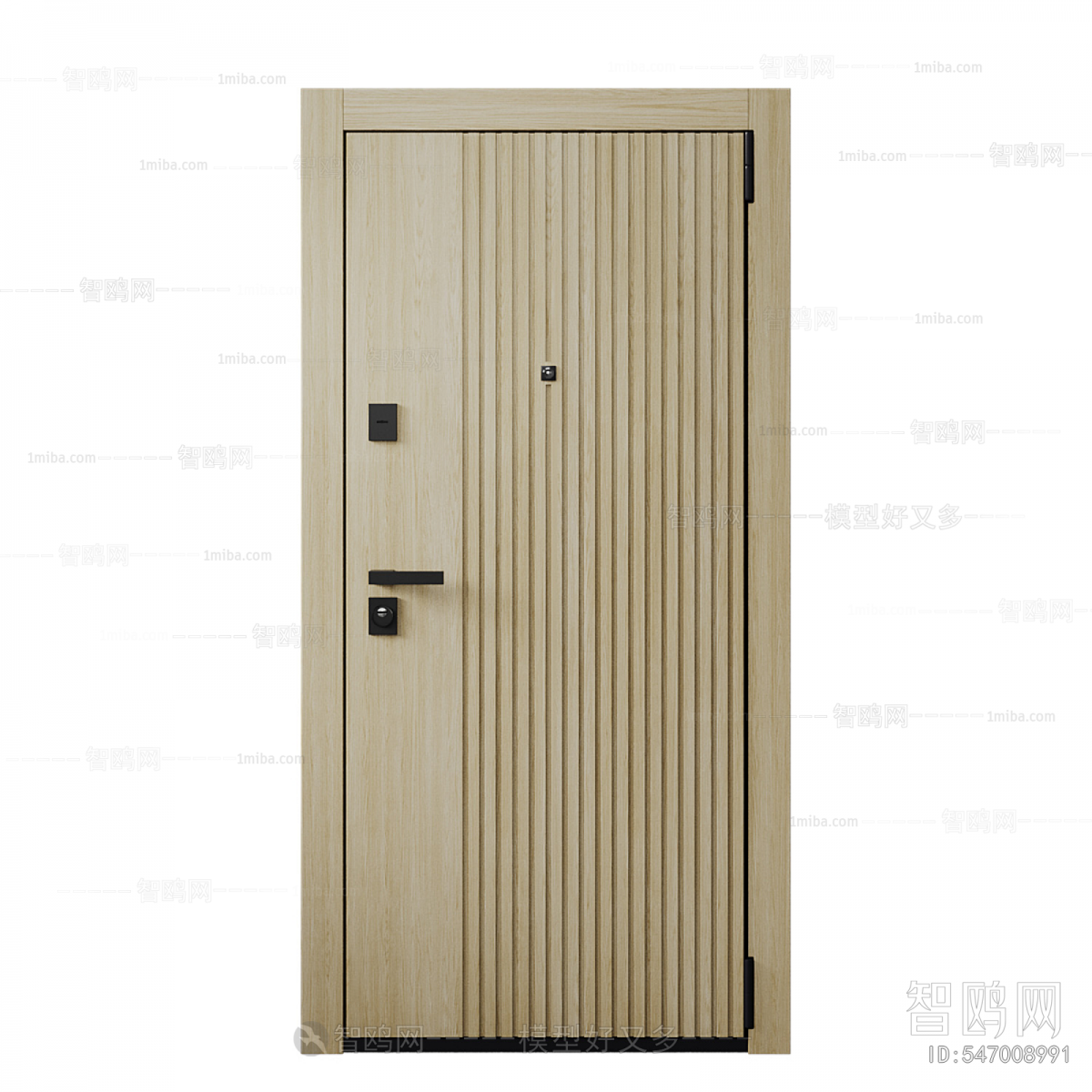 Modern Entrance Door