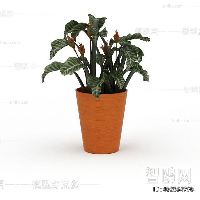 Modern Potted Green Plant