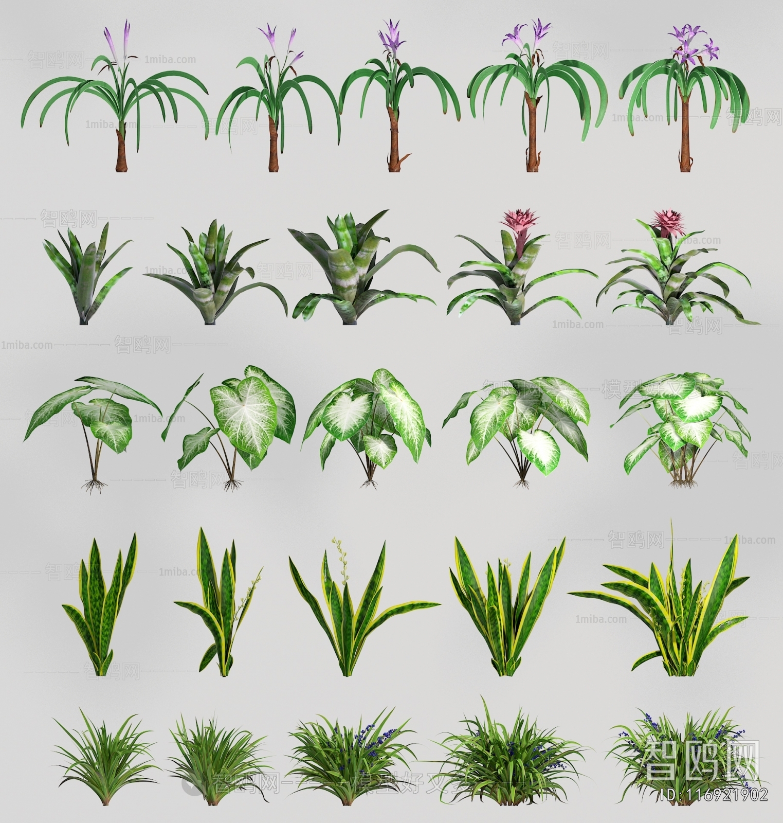 Modern Flowers And Grass