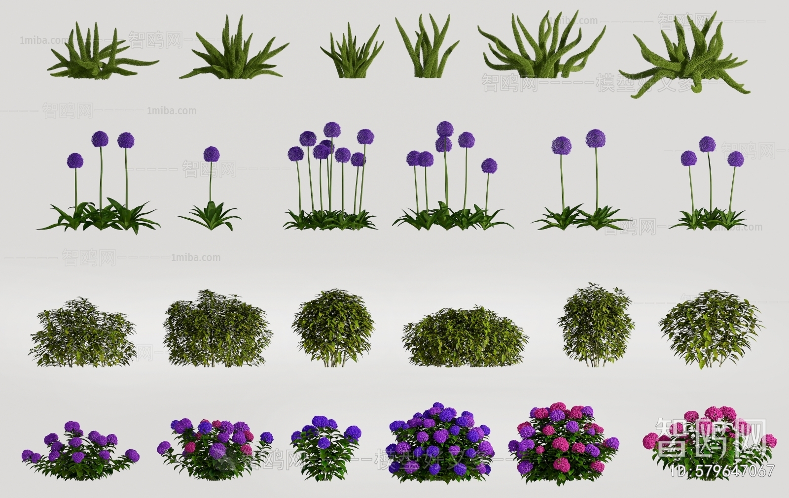 Modern Flowers And Grass