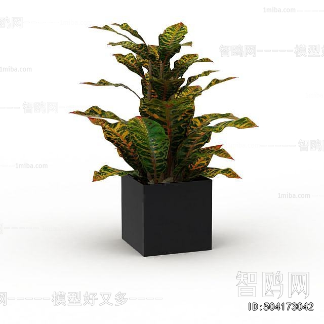 Modern Potted Green Plant