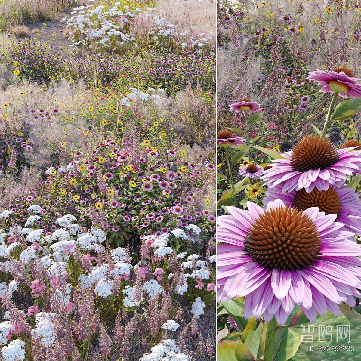 Modern Flowers And Grass