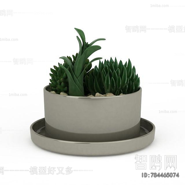 Modern Potted Green Plant