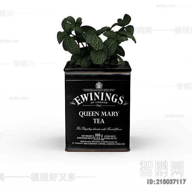 Modern Potted Green Plant