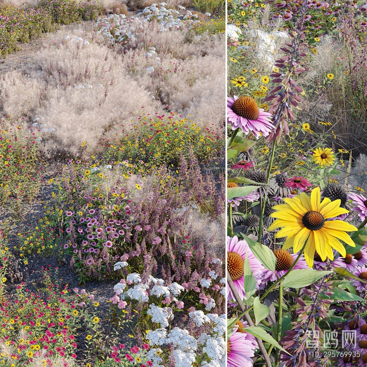 Modern Flowers And Grass