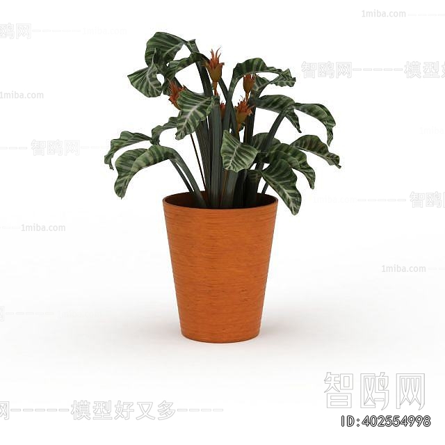Modern Potted Green Plant
