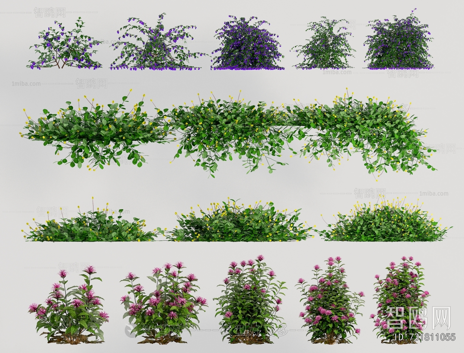 Modern Flowers And Grass