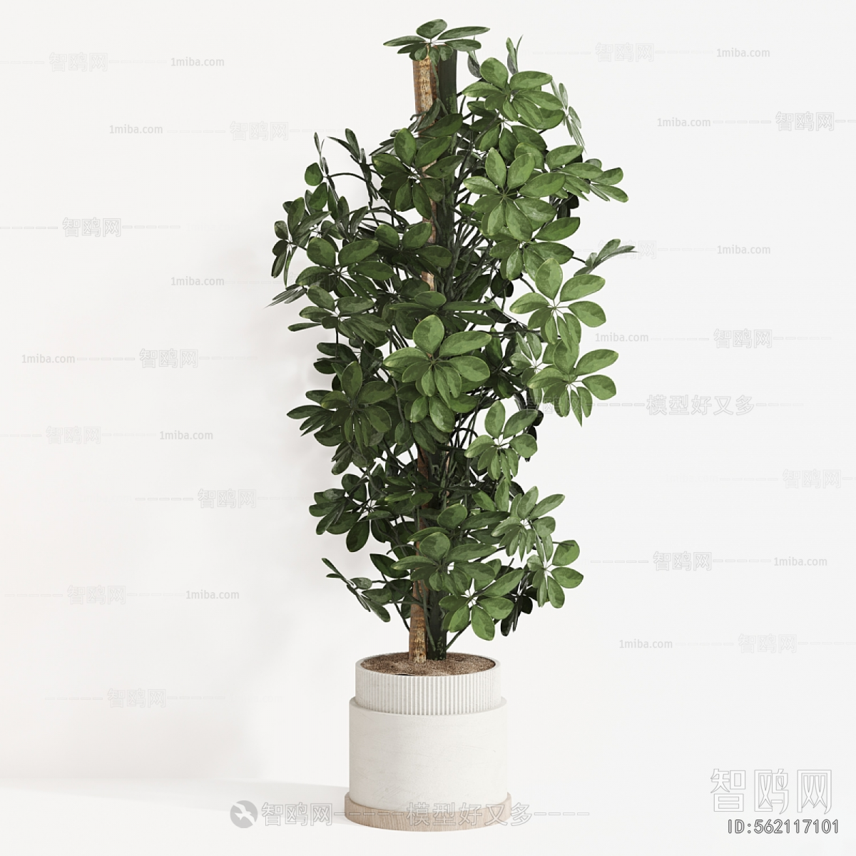 Modern Ground Green Plant Potted Plants