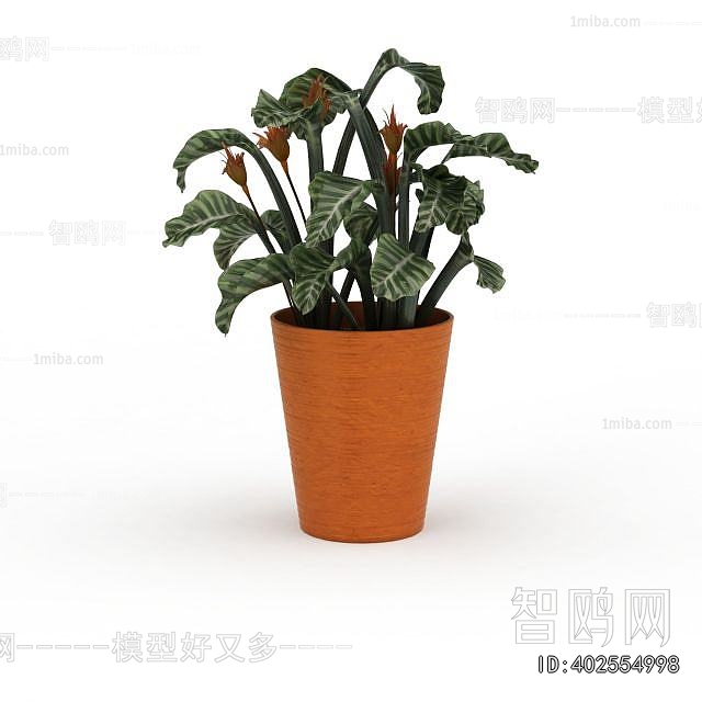Modern Potted Green Plant